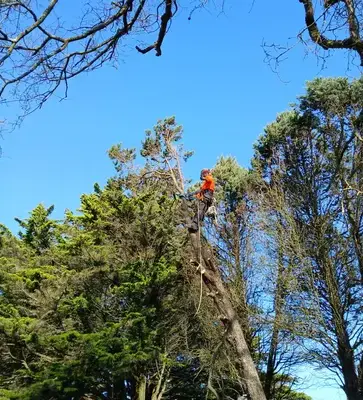 entretien de jardin Saint Julien de Vouvantes-1