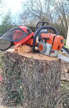 entretien de jardin à Saint Julien de Vouvantes - image 2