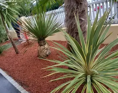 entretien de jardin à Saint Julien de Vouvantes - image 3