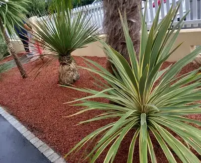 entretien de jardin à Soudan - image 2