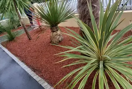 entretien jardin Pornic-1