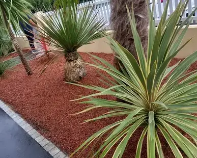 entretien jardin Saint-Père-en-Retz-5