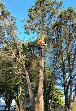 maçonnerie paysagère à Carbay - image 3