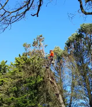 maçonnerie paysagère Carbay-5