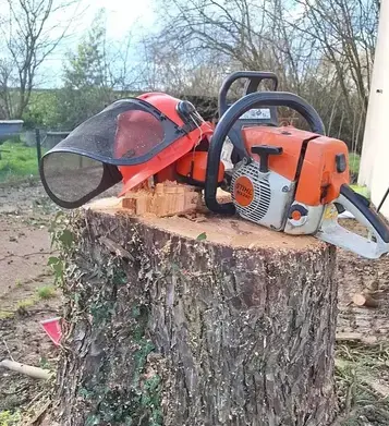 maçonnerie paysagère à Châteaubriant - image 3