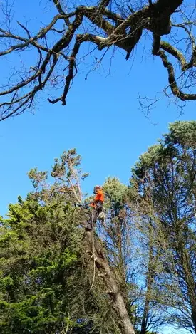 maçonnerie paysagère à Châteaubriant - image 4