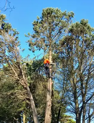 maçonnerie paysagère Châteaubriant-5