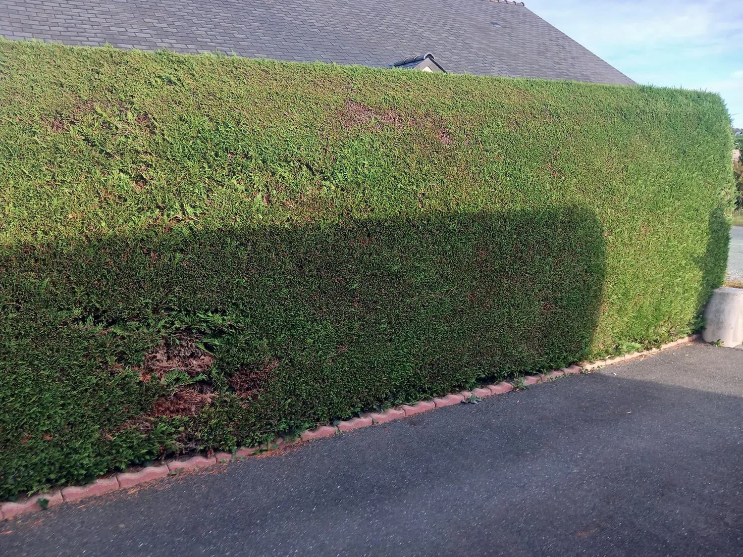 maconnerie paysagere chateaubriant