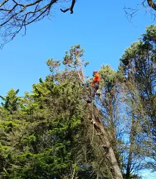 maçonnerie paysagère Erbray-1