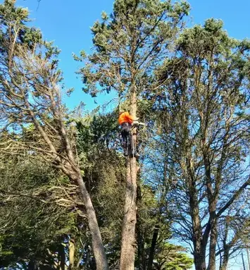 maçonnerie paysagère à La Chapelle Glain - image 3