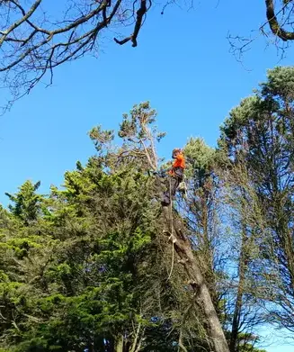 maçonnerie paysagère à La Chapelle Glain - image 4