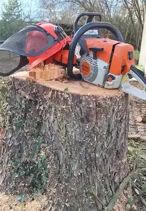 maçonnerie paysagère Moisdon La Rivère-1