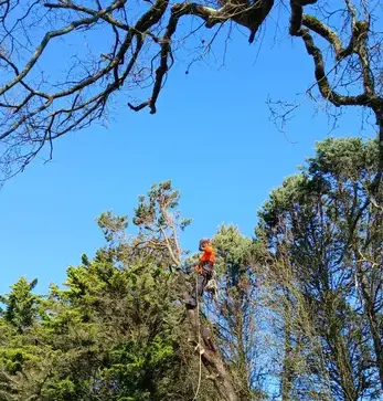 maçonnerie paysagère à Moisdon La Rivère - image 2