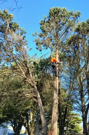 maçonnerie paysagère à Moisdon La Rivère - image 3