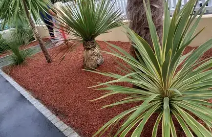 maçonnerie paysagère à Petite Auverné - image 3