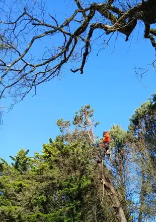 maçonnerie paysagère à Petite Auverné - image 4