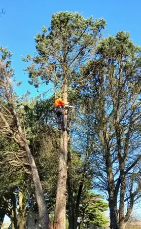 maçonnerie paysagère Petite Auverné-5