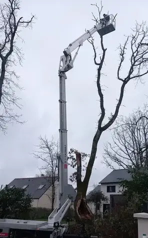 maçonnerie paysagère Pornic-2