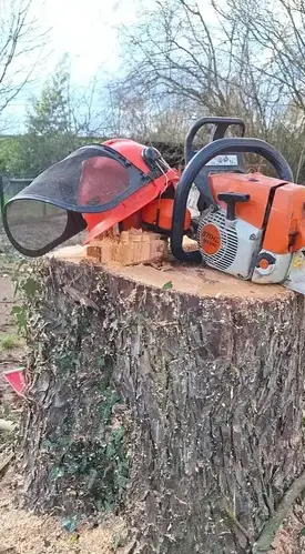 maçonnerie paysagère à Saint Julien de Vouvantes - image 3