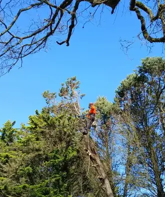 maçonnerie paysagère à Soudan - image 4