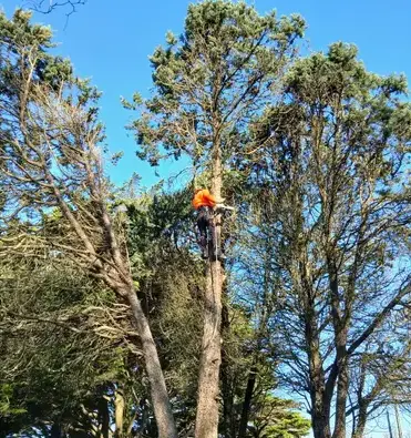 maçonnerie paysagère Soudan-5