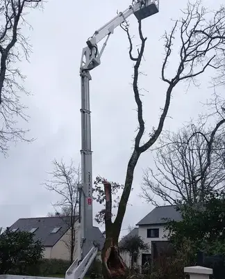maçonnerie paysagère Trignac-1