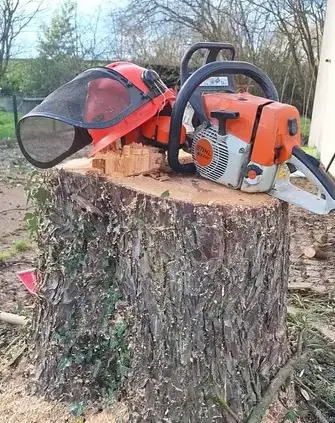 paysagiste à Carbay - image 3