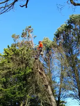 paysagiste à Carbay - image 4
