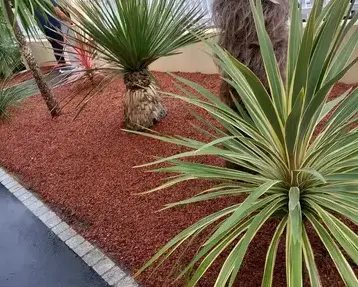 paysagiste Châteaubriant-1