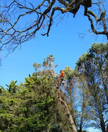 paysagiste à Châteaubriant - image 4