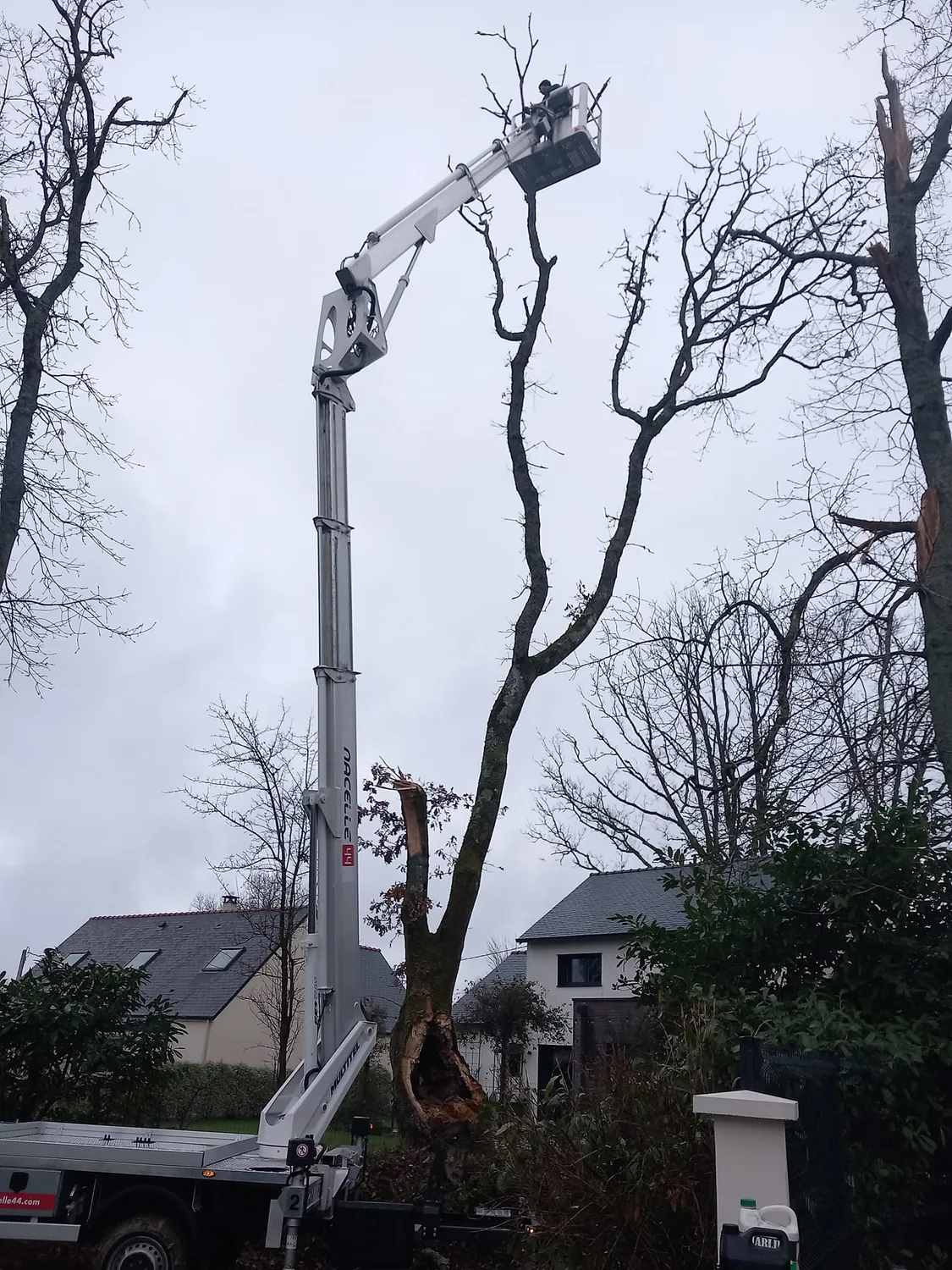 paysagiste chateaubriant