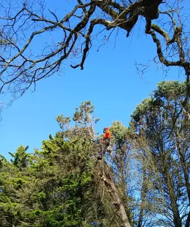 paysagiste à Erbray - image 2