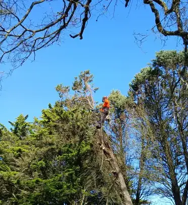 paysagiste à La Chapelle Glain - image 4
