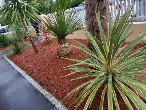 paysagiste Moisdon La Rivère-1