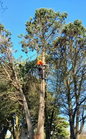 paysagiste à Moisdon La Rivère - image 3