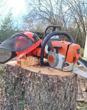 paysagiste à Moisdon La Rivère - image 4