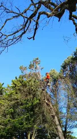 paysagiste à Petite Auverné - image 2