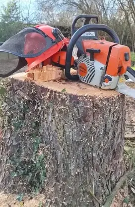 paysagiste à Petite Auverné - image 3