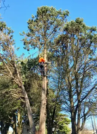 paysagiste Petite Auverné-5