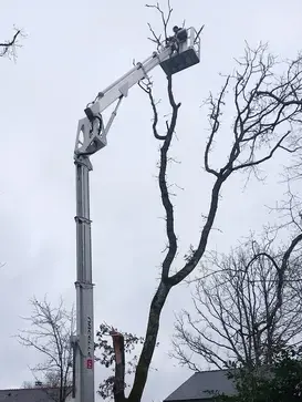 paysagiste Pornic-1