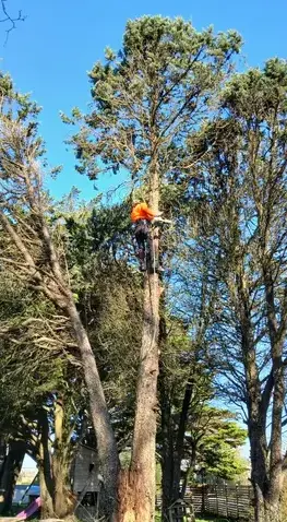 paysagiste Saint Julien de Vouvantes-1