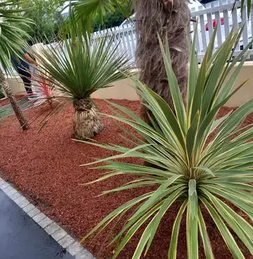 paysagiste à Saint Julien de Vouvantes - image 2