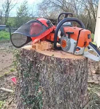 paysagiste à Saint Julien de Vouvantes - image 4