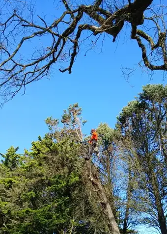 paysagiste à Soudan - image 2