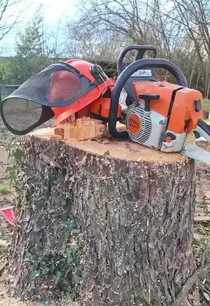 paysagiste à Soudan - image 4